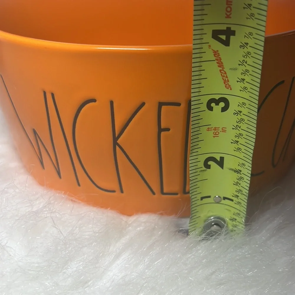 RAE DUNN WICKED CUTE DOG BOWL